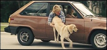 Walking Your Dog While Driving